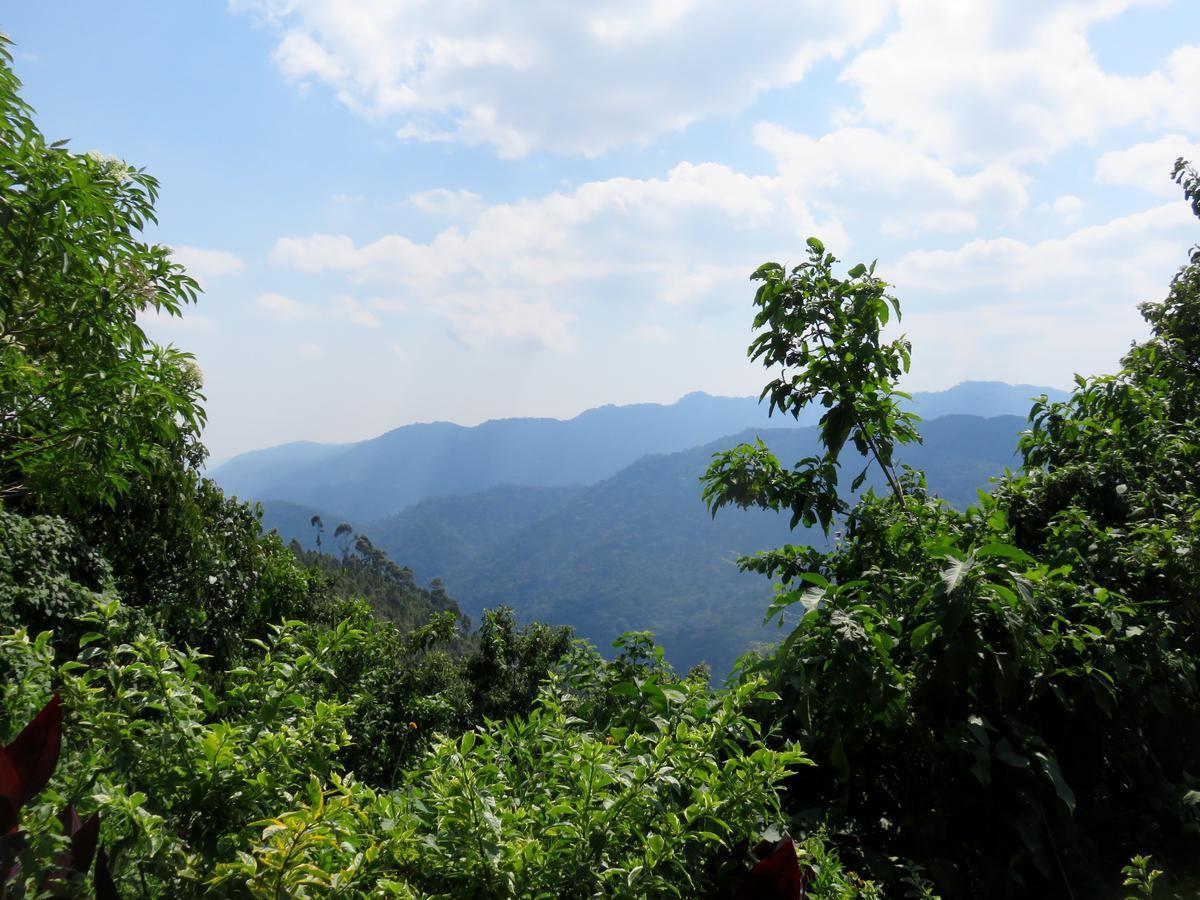 Nkuringo Bwindi Gorilla Lodge Buitenkant foto