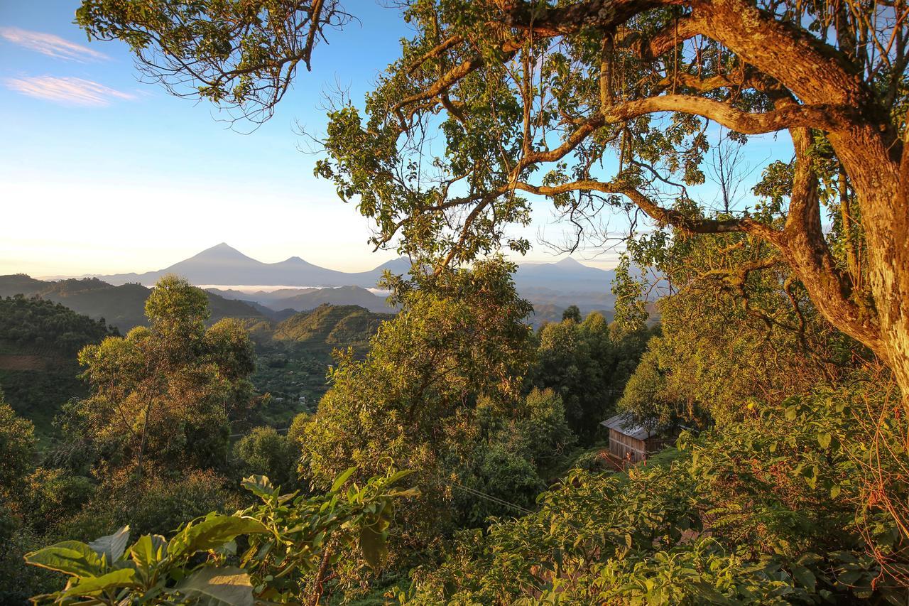 Nkuringo Bwindi Gorilla Lodge Buitenkant foto