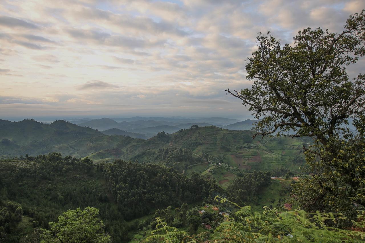 Nkuringo Bwindi Gorilla Lodge Buitenkant foto