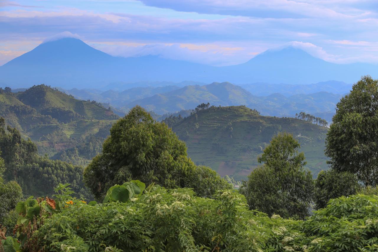Nkuringo Bwindi Gorilla Lodge Buitenkant foto